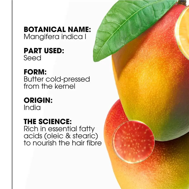 Mango Shampoo
