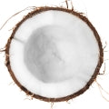 Coconut Milk