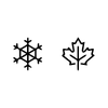 Fall/Winter