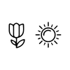 Spring/Summer